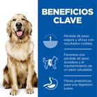 Hill's Science Plan Perfect Weight Adult Large Pollo pienso para perros, , large image number null
